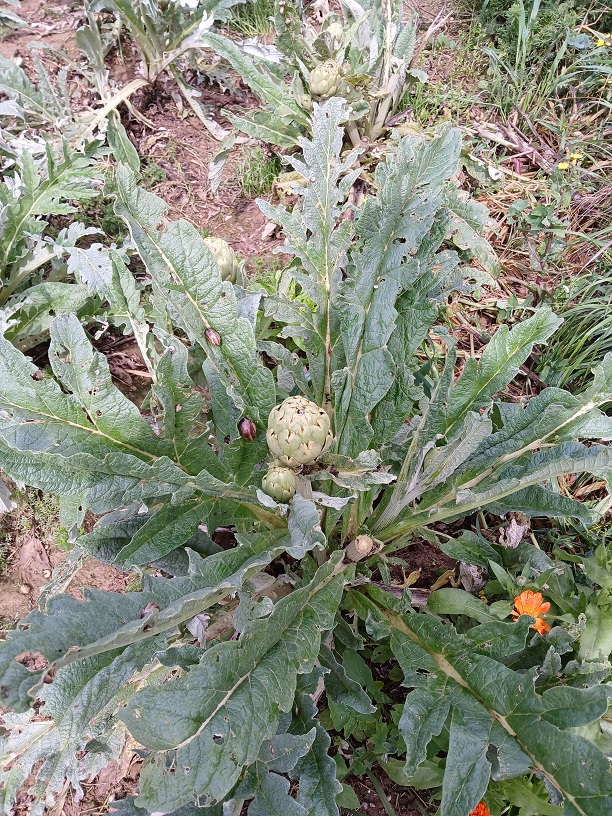 No s'ha trobat l'arxiu